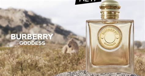 burberry sample perfume|Burberry goddess perfume boots.